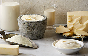 US Dairy Products